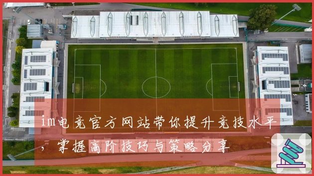 im电竞官方网站带你提升竞技水平，掌握高阶技巧与策略分享